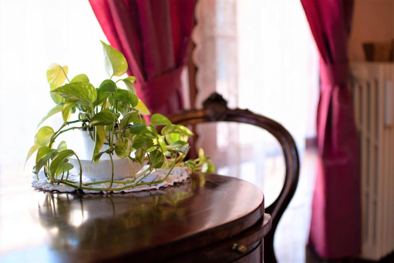 Casa Torresino Hotel Padova Kültér fotó